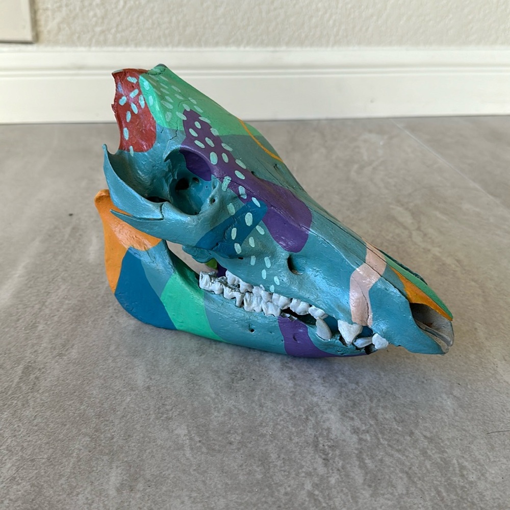 Hand painted boar skull
